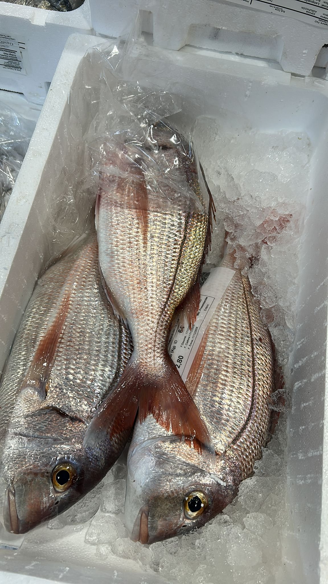 Pesca artesanal y trasmallo